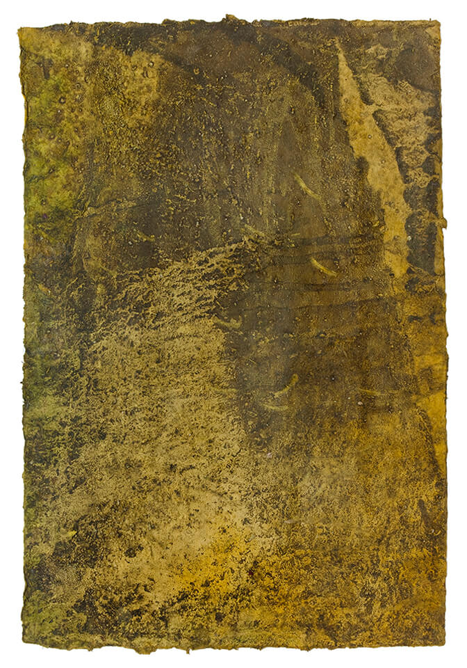 lloron papel 19.jpg